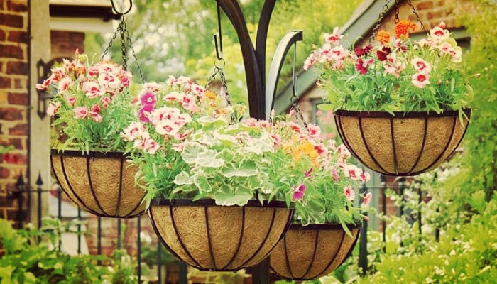 Flores colgantes de exterior